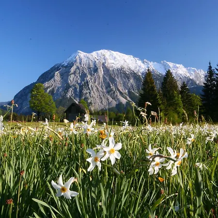 Kreutzer Tauplitz